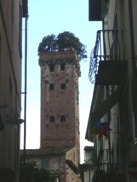 Lucca